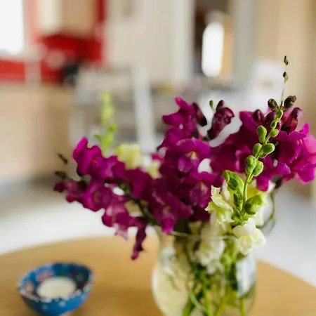 Cozy Nest - 2min To Beach, 6min Walk To Old Town אכסניה חאניה